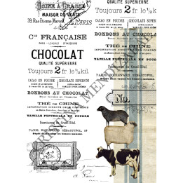 copy of 